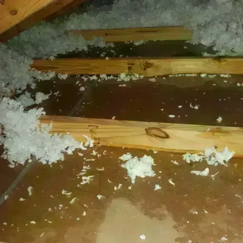 Attic Water Damage in Kerr County, TX