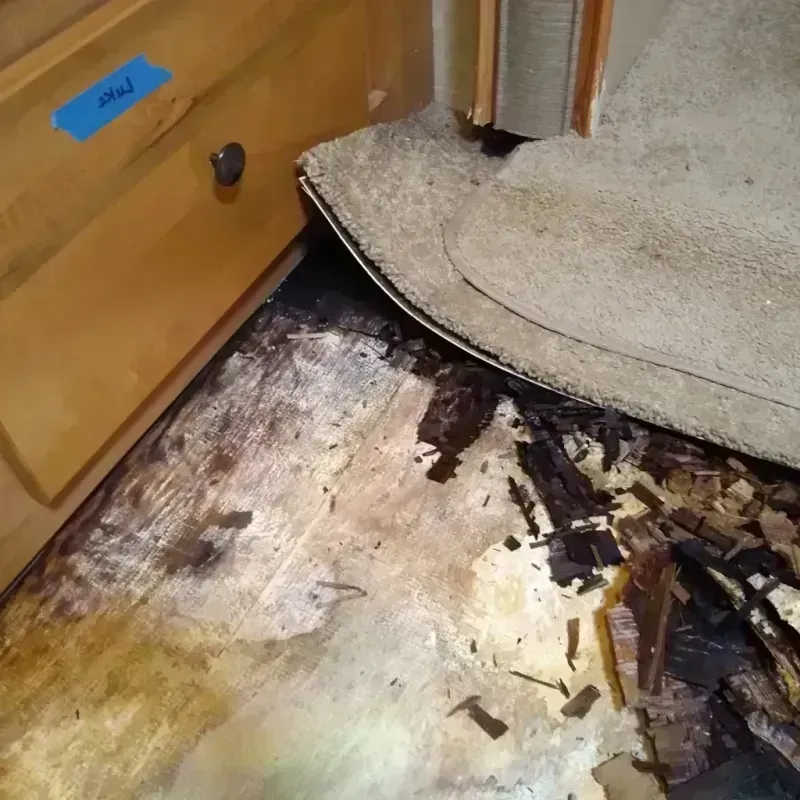 Wood Floor Water Damage in Kerr County, TX